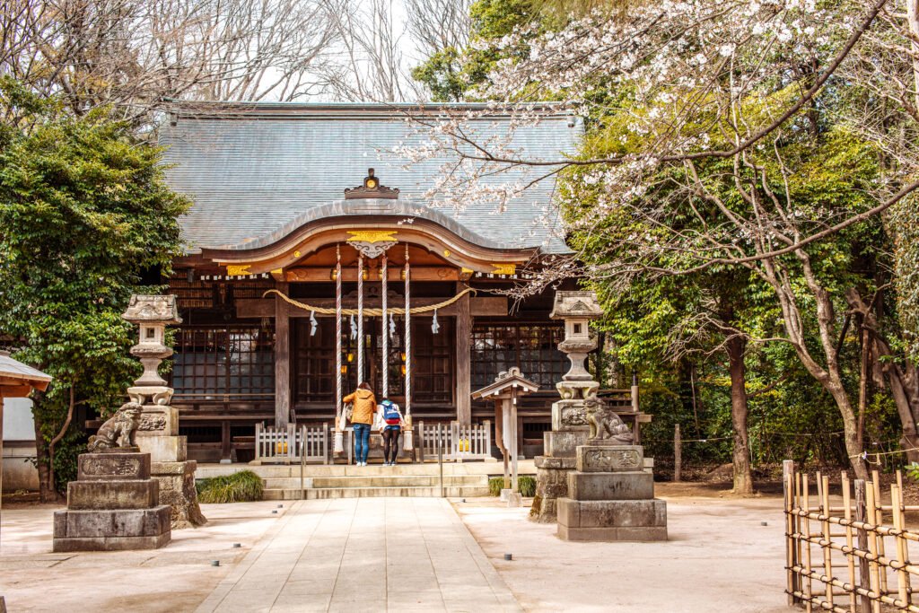Hikawa Jinja, a Shinto shrine, with cherry blossoms in Nerima-ku, Tokyo