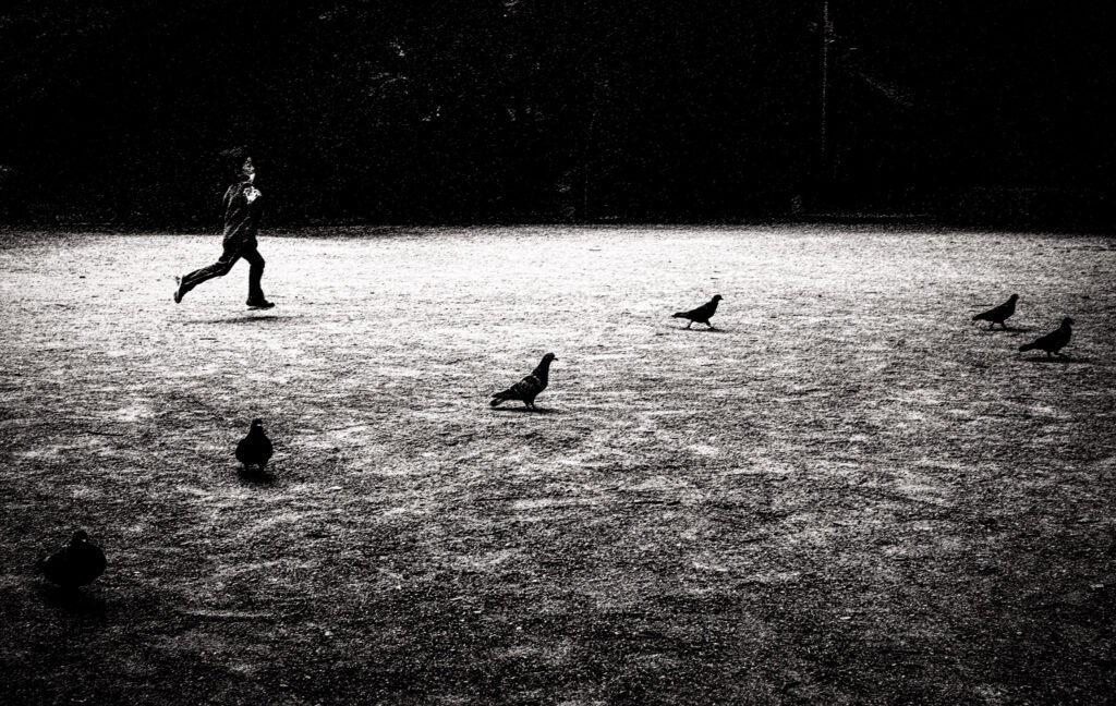 A B&W photo of a young boy running across the open expanse of a gravel area in a park, with a dark background and pigeons silhouetted in the foreground